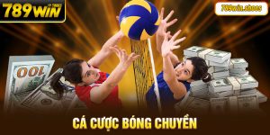 Cá cược bóng chuyền: Cách chơi chi tiết, chiến thuật tối ưu