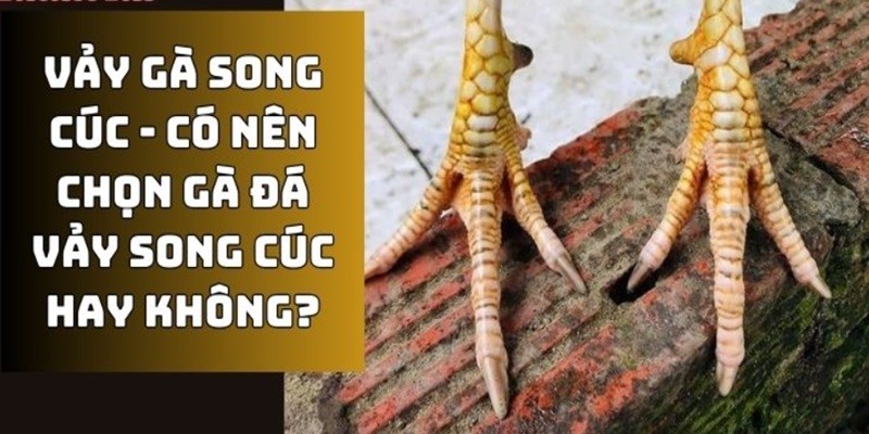 Đánh giá đặc trưng về loại vảy độc đáo